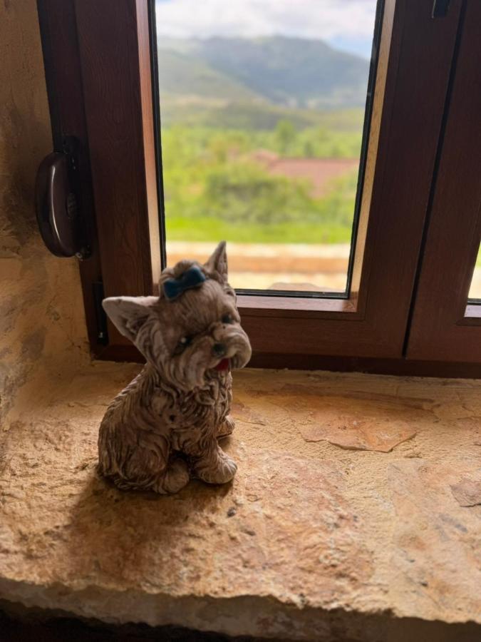 A guest's dog, at home here — Ekali Stone House